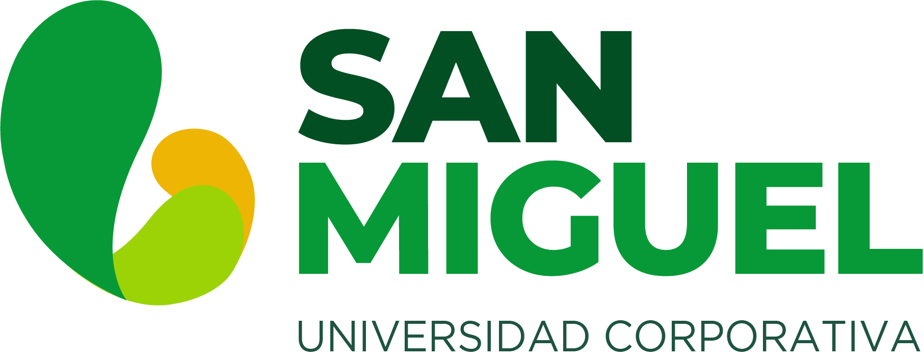 Universidad San Miguel